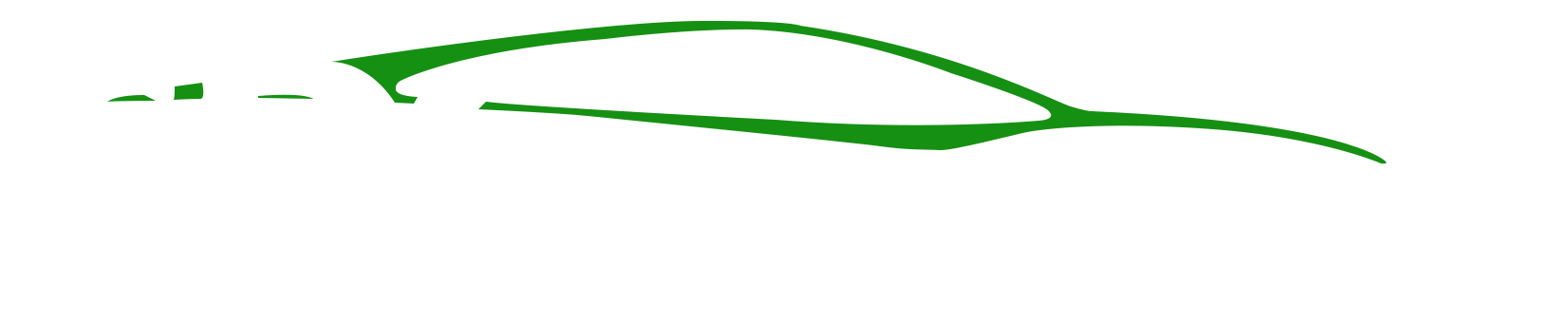 SDG CARROSSERIE